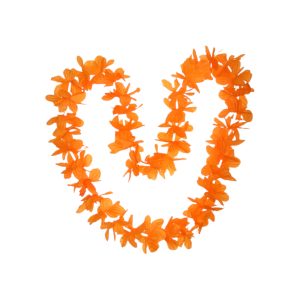 JVW Goirle Bloemenkrans Oranje